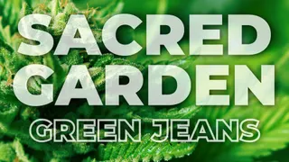 Sacred Garden - Albuquerque
