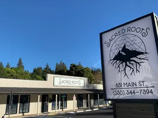 Sacred Roots (tax is included in price!)