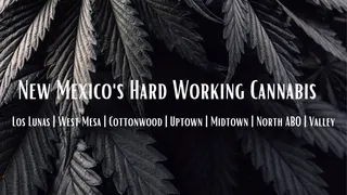 Sawmill Cannabis Company - Phoenix Ave