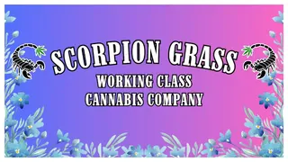 Scorpion Grass - South Anchorage