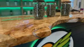 Seaside Cannabis Company