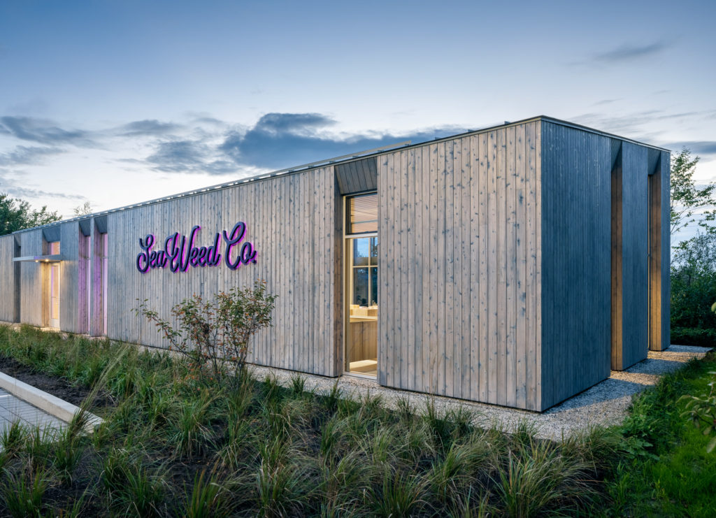 SeaWeed Co. - South Portland (Recreational)