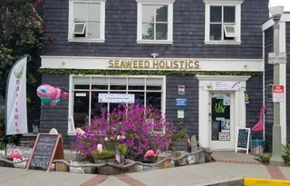 Seaweed Holistics