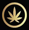 HIGH CANNABIS 410