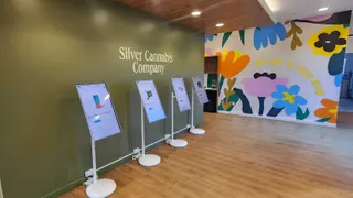 Silver Cannabis Company - Albany