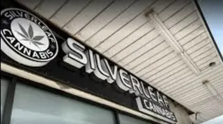 SilverLeaf Cannabis