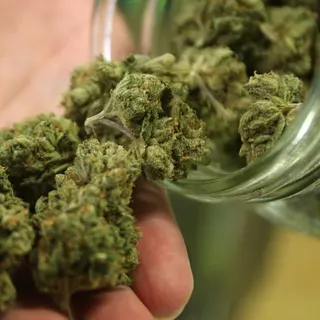 Simply Grow Pharms