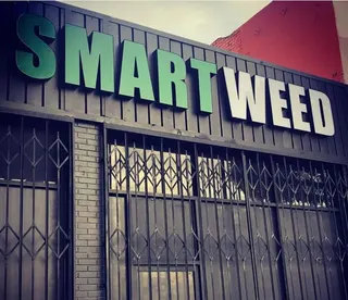 Smartweed
