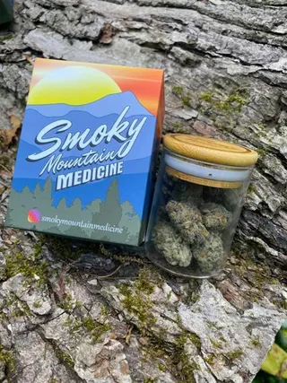 Smoky Mountain Medicine