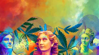 Spark Dispensary