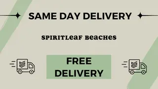 Spiritleaf - Beaches