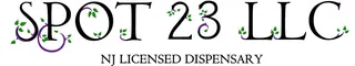 Spot 23 LLC