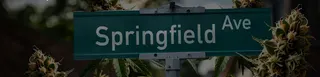 Springfield Ave Dispensary LLC