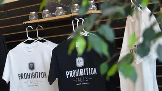 Prohibition Falls