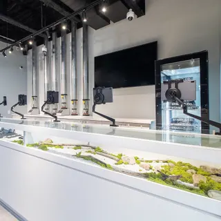 Stash & Co. - Merivale - Now Open!