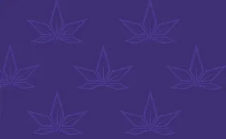 Strain Stars