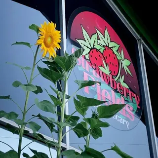 Strawberry Fields Apothecary