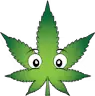 Super Fire Dispensary