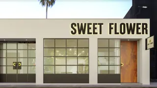 Sweet Flower - DTLA