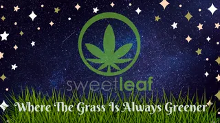 Sweet Leaf Cannabis - Recreational