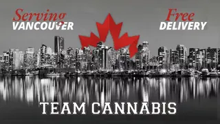 TEAM CANNABIS