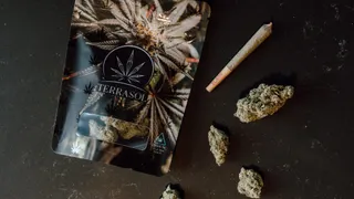 TerraSol Dispensary