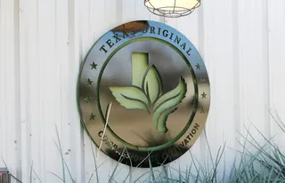 Texas Original - San Antonio