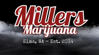 Miller's Marijuana