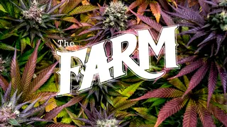 The Farm - East Boulder