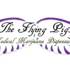 The Flying Pig