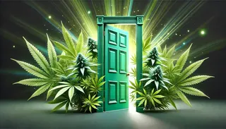 The Green Door - Bangor (Medical)