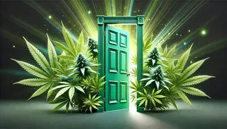 The Green Door - Watervliet