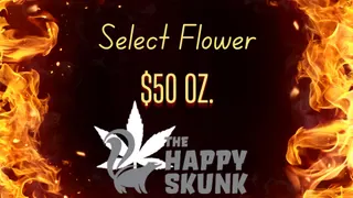 The Happy Skunk