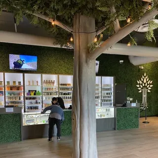 The Healing Tree - Lake Elsinore
