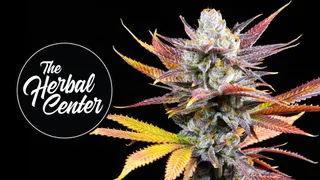 The Herbal Center - S. Broadway (REC)