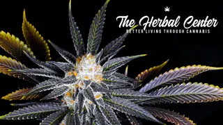 The Herbal Center - Peoria (REC)