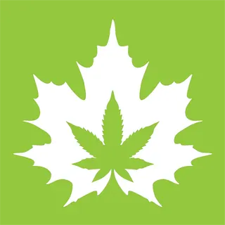 The House of Cannabis - 208 Division St - Kingston - Opening Soon!