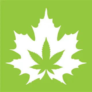The House of Cannabis - Spadina Ave - Now Open!