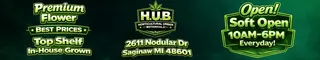 The Hub