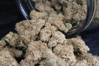 Jive Dispensary