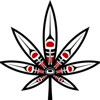 The Kure Cannabis Society - Dyke Rd.