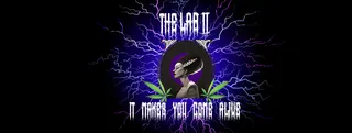 The Lab II