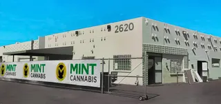 The Mint Cannabis - Encanto