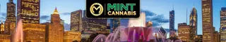 The Mint Cannabis - Willowbrook