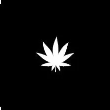 The New Amsterdam