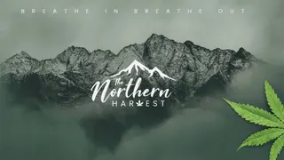 The Northern Harvest