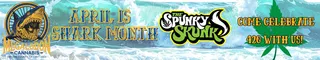 The Spunky Skunk