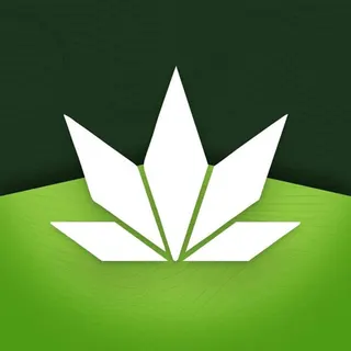 The Wellness Joint