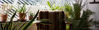 Theory Wellness Sherwood Dispensary