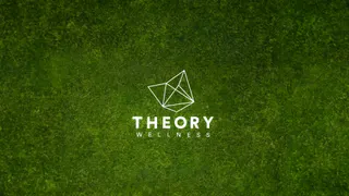 Theory Wellness-Trenton